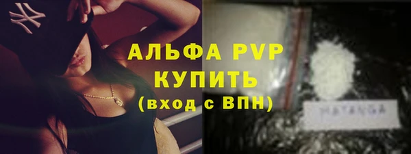 ГАЛЛЮЦИНОГЕННЫЕ ГРИБЫ Богданович